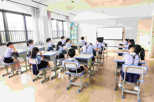 威海少兒培訓與教育信息咨詢服務全解析
